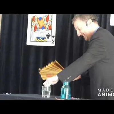 Vidéo — Extrait d'un spectacle de magie pour enfants par Francis Darcy